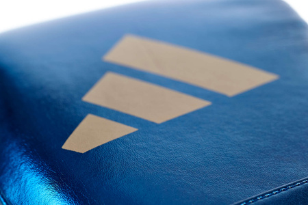 Rękawice boskerskie Adidas SPEED 501